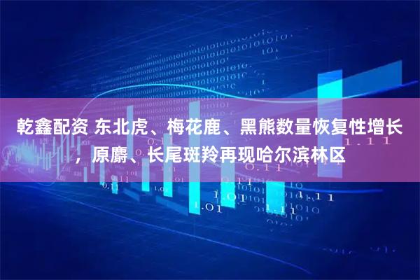 乾鑫配资 东北虎、梅花鹿、黑熊数量恢复性增长，原麝、长尾斑羚再现哈尔滨林区