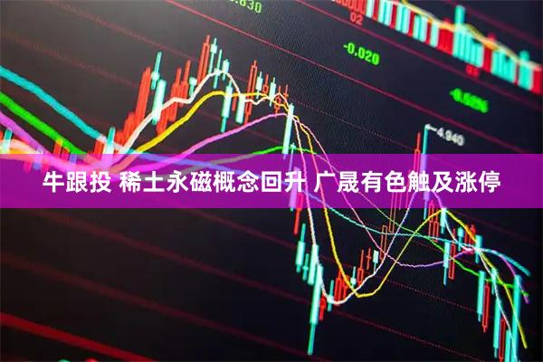 牛跟投 稀土永磁概念回升 广晟有色触及涨停