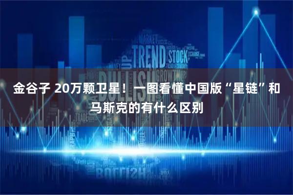 金谷子 20万颗卫星！一图看懂中国版“星链”和马斯克的有什么区别