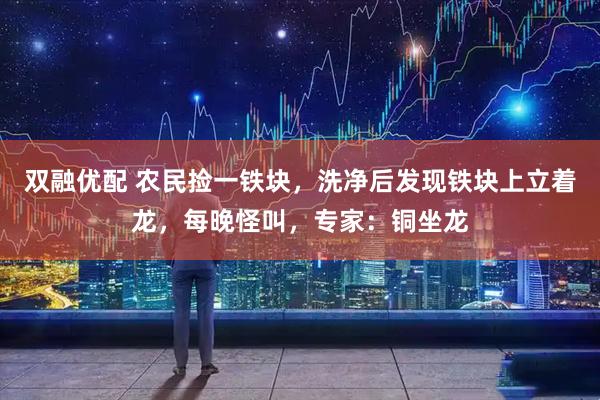 双融优配 农民捡一铁块，洗净后发现铁块上立着龙，每晚怪叫，专家：铜坐龙